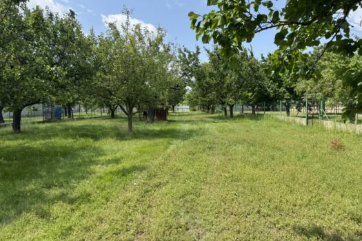 Historisches Anwesen mit 2.985m² großem Grundstück in Kittsee – ideal auch für Bauträger 3hulGdc1FLSpupF1Up0Sl3