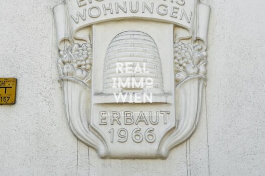 3ld8KFR2Dpq2CTmTsEwusi 1