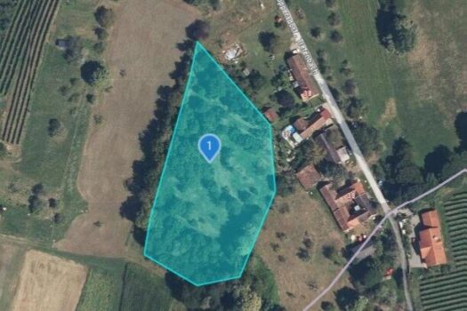 3r91DgJCOw0pAyWHeKazNp