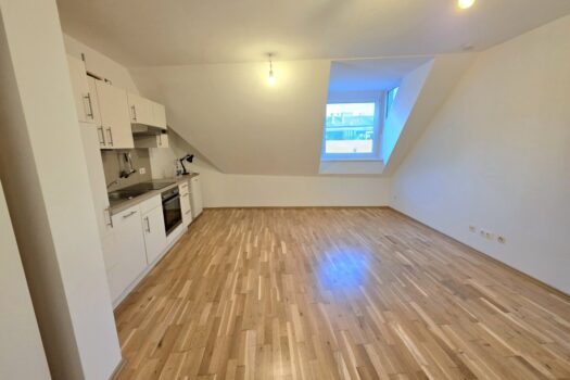 Ruhige Singlewohnung in zentraler Lage! Wohnküche