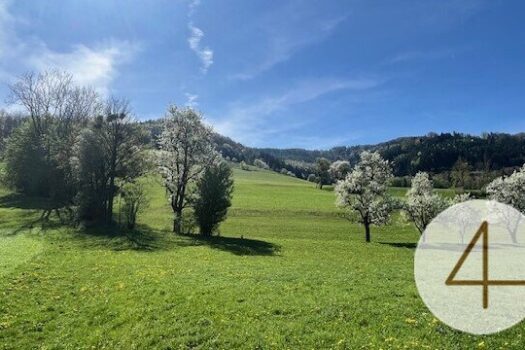 Sonniges Baugrundstück in wunderschöner Lage im Mostviertel! 3zqSDoHJyJsN8DpV8lPb1b