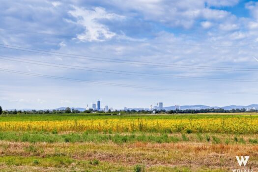 2 Großzügige Baugrundstücke zu je 530m² mit Weitblick | Ruhelage | BK I, 6,5m, offen, 25% bebaubar | * 44zrG7GNmDPwUG7wcvcCIP 2