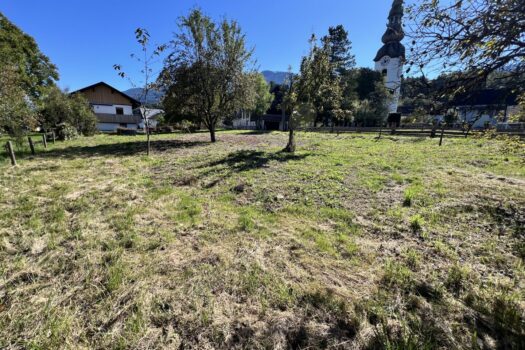 4D8VNDzoDIfFUCPahiKIJn