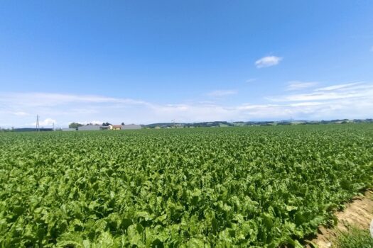 4LcvP2XnqbO13anjLfZa1T