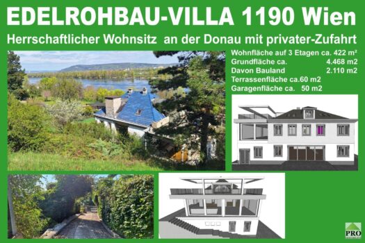 Edelrohbau-Villa, Herrschaftlicher Wohnsitz am Fuße des Kahlenberges an der Donau. Teilrestauriert entkernt und komplette Ausbauplanung. Startseite Heiligenst. Kopie