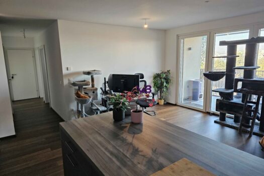 4P8Xx29FLhQWdcYi6mb6Jv