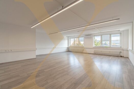 Klimatisierte Büroflächen mit flexibler Mietdauer im Technologiezentrum Linz zu vermieten! Büro - Ansicht I