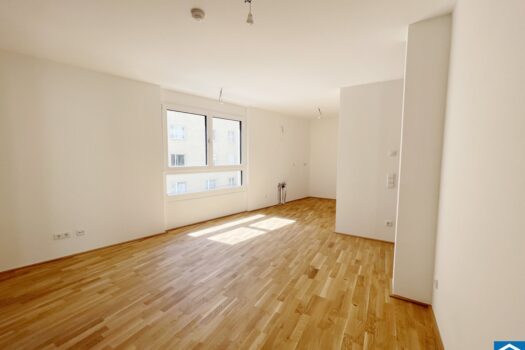 4PmtqCSiUTcXvaew1edqYR