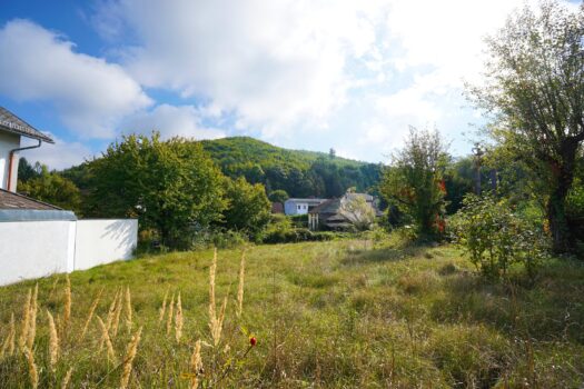 4TtybklcKQrKpKujq8T14e