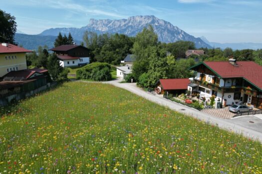 4VFJOMt8ElC8eRwZpgLMH6