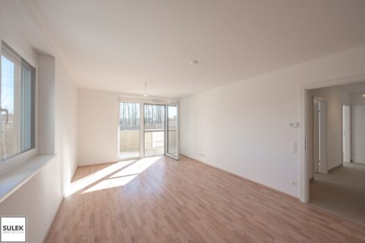 VIDEOTOUR: freundliche, helle 3 Zimmer Erstbezugswohnung + Balkon + Parkplätze! Go2Eisenstadt! 4hT17VKvvVWXdH2V7CNL4V