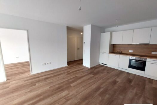 4oTmivwtfspvlIN7wyuKDq