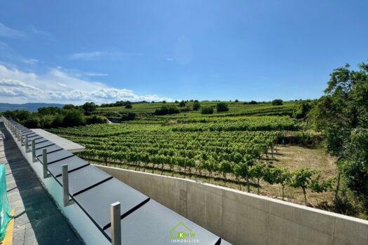 4qBNO8JiAdBXRk2Kp9Ruvm