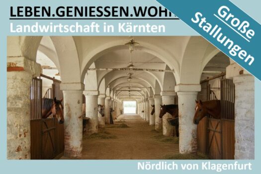 4uoPQlTJmt1F518eRWKxQL