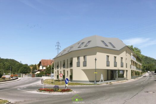 Projekt mit 17 Wohneinheiten + 23 TG Plätze 4zAIOfPfPxG17zasUwtXRM