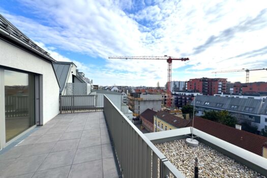 4zXpUDGvrYxdTMaXxvFkHo