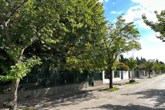 ***Idyllisches Grundstück sucht neuen Eigentümer*** 515cXwnAT37IV2LAkvdf9k