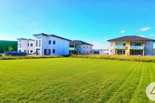 55pymaZyybS66dVUC36mn5