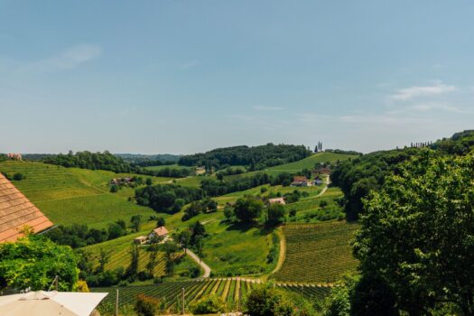 5UDRt8fRFhc6lR4Wg5MJ5I