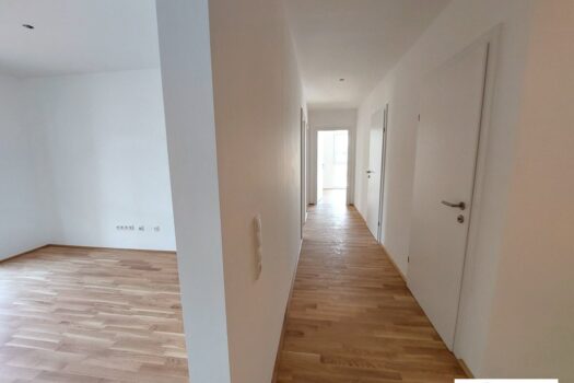 5UzM15kVb4m2MyV1Al5EpY