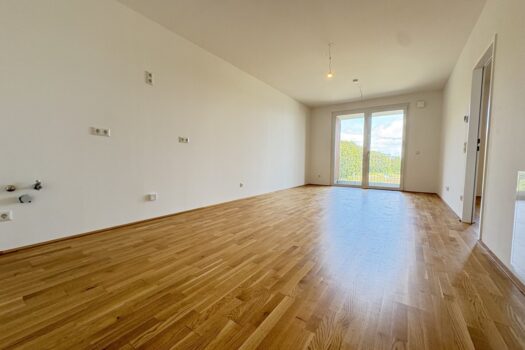 5VCvq2flzbsqzR9Ir3OLWp