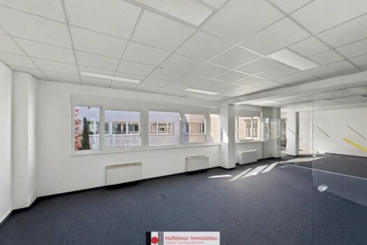 5WiJSpRcbKn73HMz1cjP0p