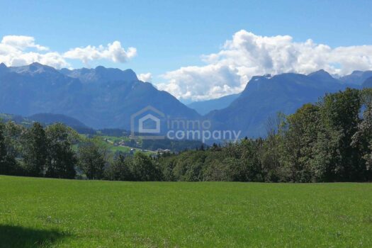 5Y1kBCLL4xPWyZO2NDfqCy