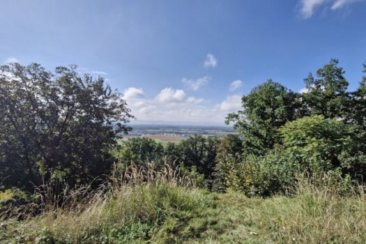 Wohnen mit Weitblick – Sechterberg 85, Feldkirchen an der Donau 5eoSxyv0XRTZzrrdskZ709