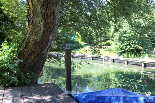 5nuhZdi2zieTGdU8sn0id8