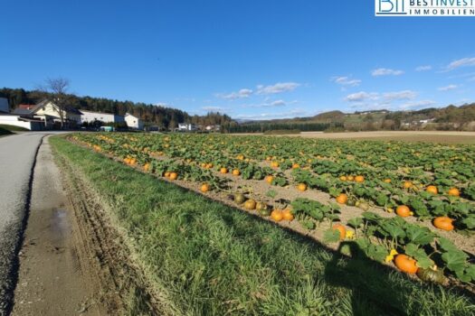 5s3ofOYorrIJBa9hgUWIMI