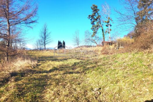 5tlwfVZVfTUrtDWOhyORaY