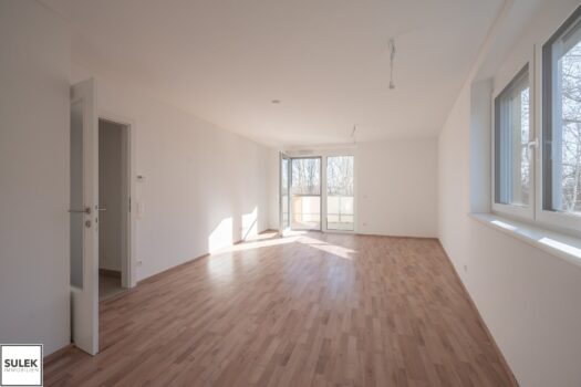 5we4wye2fLjfhFVBvIiejd