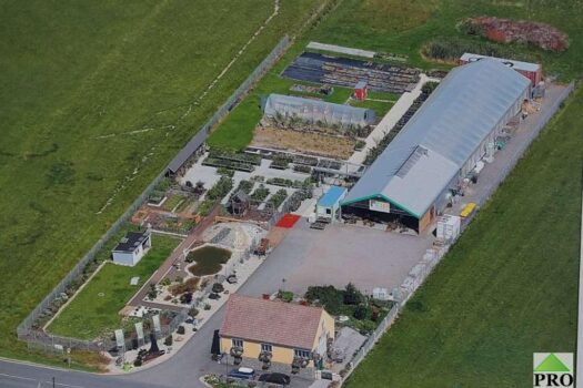 Große Betriebsliegenschaft auf 10.000m2 Grundstück in Top frequentierter Lage im Waldviertel-Bundesstraße Richtung Wien zu vermieten oder verkaufen! 381_-1837113934