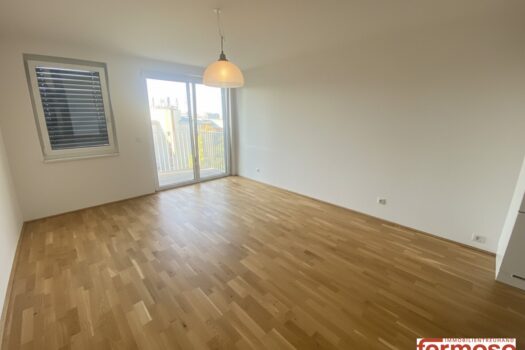 61DHTOwOur21nJJIthKA9f