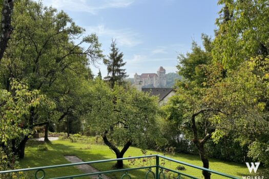 Historisches Haus mit direktem Burgblick, großem Garten & vielseitigem Potenzial – in Top-Lage Maria Enzersdorf! IMG_4688