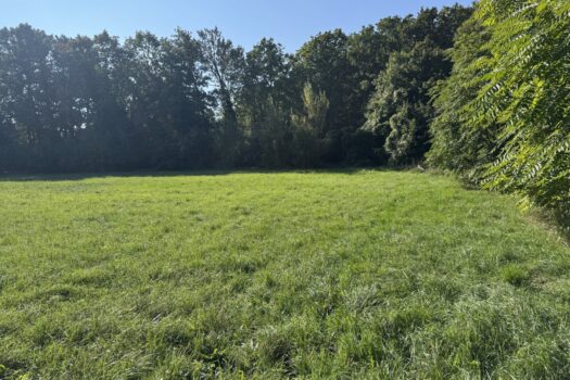 6DG2ZtURdekYwSv2rykkmg