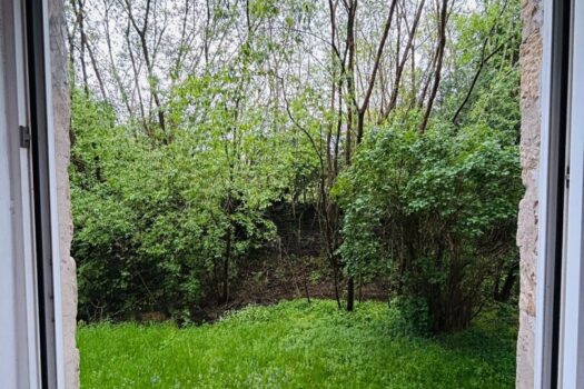 6JchvaGkxqVyUaabOpsORh