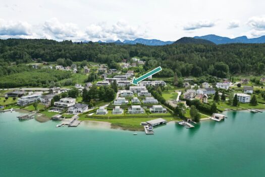 6MqtvNlEDdy2WoKNM8tMgK