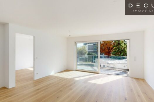 6WS8WUh0UFDnKxwqphwQ4l