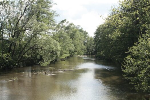 6XWBeHiWYGA5tfqPHcjQvE