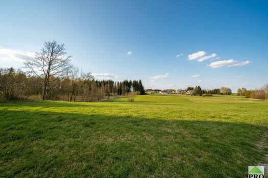 6aZUulByKs8LdUMiDCYcWf