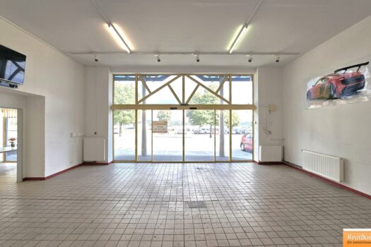 UNBEFRISTET: BÜRO, GESCHÄFTSLOKAL, WERKSTÄTTE, VERKAUFSHALLE MIT KFZ STELLFLÄCHEN IN HARTBERG Halle / Verkaufsfläche Ansicht 1
