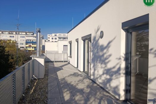 Terrasse - Blick Richtung Norden