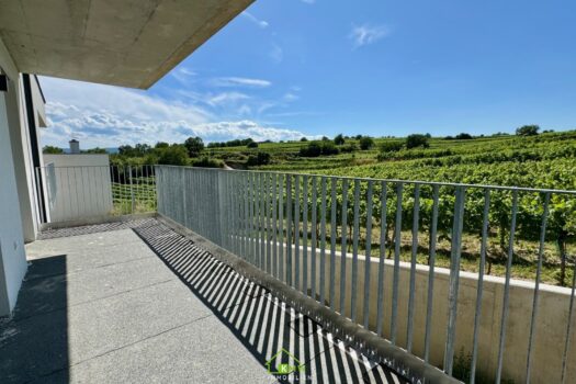 6tHcXQ8ErQTZJmj2CqlnpD