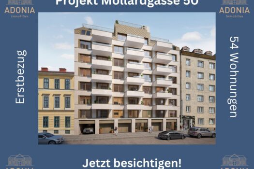 6vevDQ9Fz70AAUskHD90mj 13