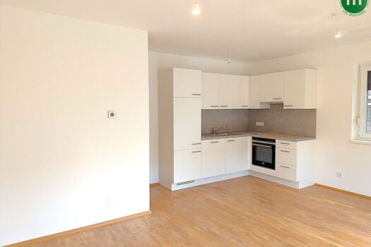 77BNKeqQUp77PKnmnGJwyg