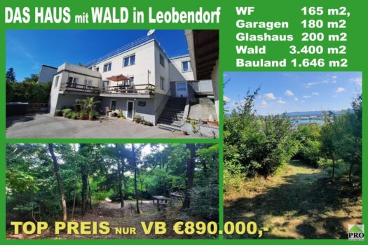 Großes Baugrundstück mit Althausbestand und schönem Waldanteil in Leobendorf. Für Bauträger/2 Wohneinheiten möglich. Startseite Stanzer Kopie