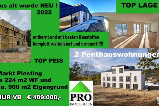 2 Penthausewohnungen TOP Lage im Piestingtal mit Grundanteil. Titelbild Kopie