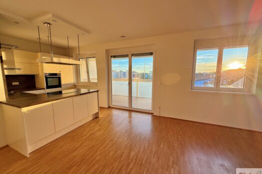 Hochwertige 4-Zimmer Neubauwohnung inkl. verglaster Loggia und TG in Wels/Zentrum! 7H8vICgI9SQB3fCd1X64Hl