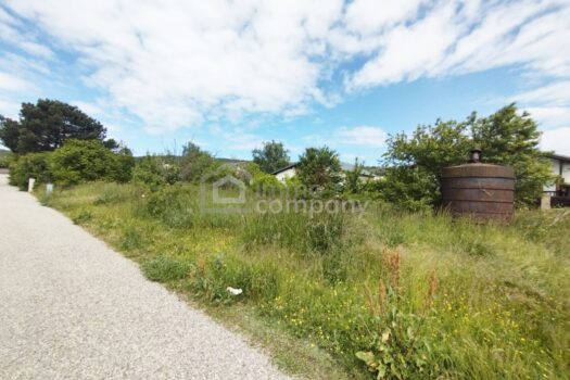 Blick aufs Grundstück_2